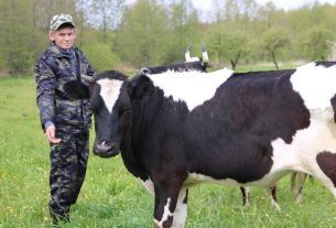 Обратите внимание!