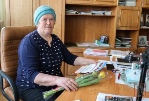 Какие сельхозработы ведутся сейчас на полях Поставщины?