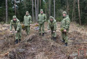 Военнослужащие погранзаставы "Ярево" и лесники садили лес в Поставском лесничестве