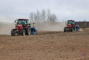 Поставский льнозавод планирует посеять лён-долгунец почти на 2000 га