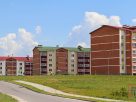 Кормозаготовка стартовала! Все хозяйства района приступили к сенокошению Кормозаготовка стартовала! Все хозяйства района приступили к сенокошению