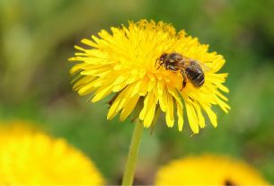 Что делать, если на улице очень жарко? Рекомендации спасателей