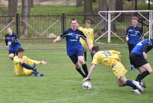 На празднике в Новоселках торжественно чествовали лучших работников сельскохозяйственной отрасли