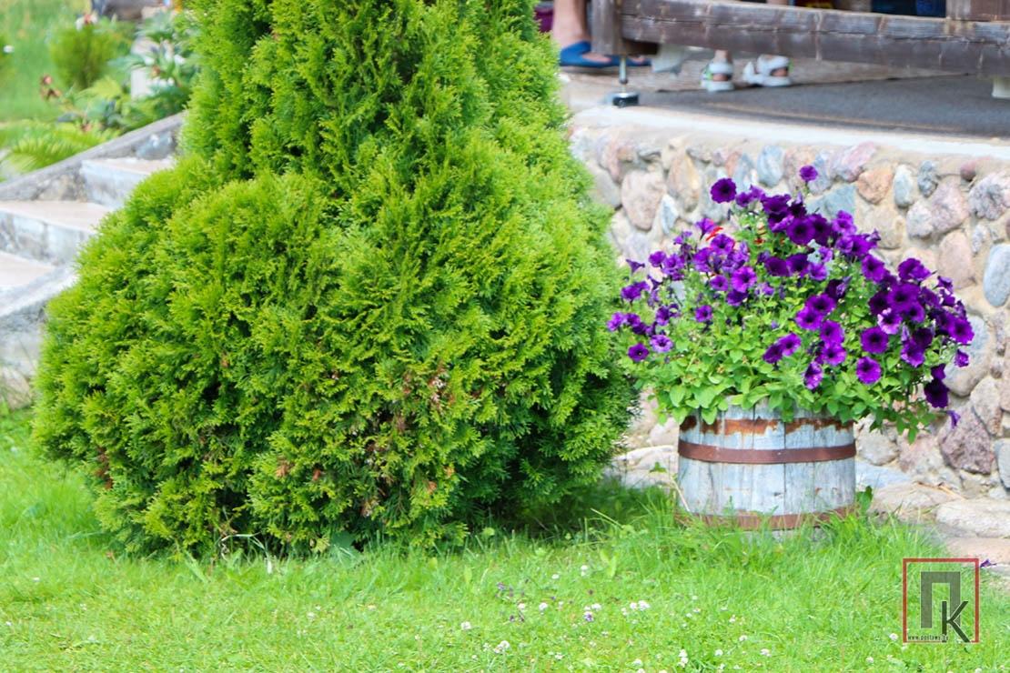 Место силы — «Паўлікіна хатка». Александр и Юлия Татарчуки приглашают отдохнуть на берегу озера в д. Симоньки