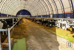 Начал работу молочнотоварный комплекс за деревней Буцевичи