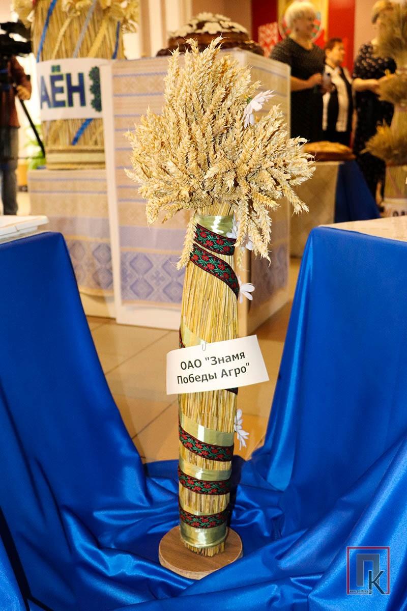 Фоторепортаж: Выставка снопов и караваев на районном празднике "Дожинки" в Поставах