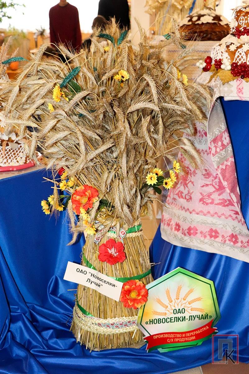 Фоторепортаж: Выставка снопов и караваев на районном празднике "Дожинки" в Поставах