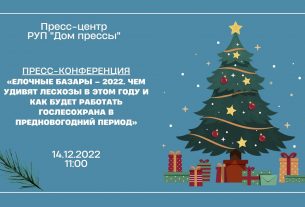 14.12|11:00 Пресс-конференция «Елочные базары – 2022. Чем удивят лесхозы в этом году?»