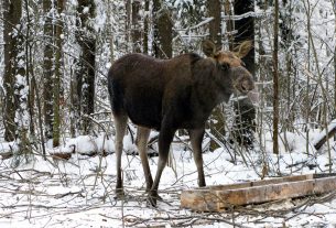 Стоматологическое отделение Поставской ЦРБ оснащено новым оборудованием