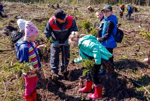 В лынтупской средней школе уже много лет действует объединение по интересам «Школьное лесничество»