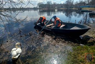 Весенние полевые работы набирают темпы в Поставском районе