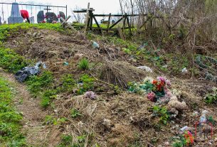 Лесок за оградой кладбища возле д. Ласица с каждым годом все больше превращается в свалку