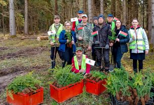 «Неделя леса». Работники Дуниловичского дома-интерната и проживающие посадили ели и берёзы на площади 0,4 гектара