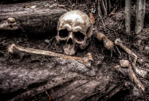 Помогите установить личность. На территории дома в г. Поставы обнаружены останки неопознанного мужчины