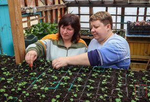 Фотофакт: Цветоводы ЖКХ готовят цветы к весне и лету