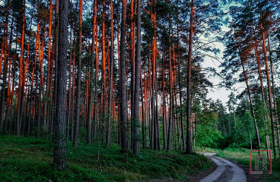 Путь сквозь время, или 5 причин съездить на велосипеде в Маньковичи