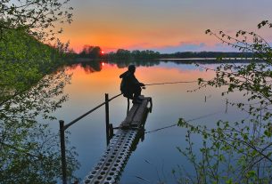 Какие изменения ожидают ИП в Беларуси