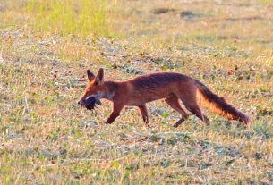 Галина Чаплинская награждена медалью «За безупречную службу»