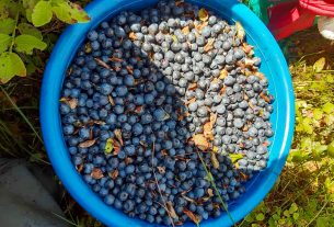 Сергея Пивня торжественно проводили в связи с увольнением с воинской службы в запас