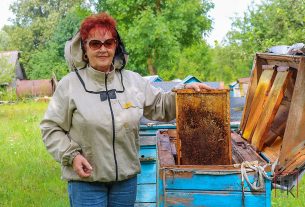 Хозяйства района завершили уборку озимого ячменя. Средняя урожайность составила 35,5 центнера с гектара