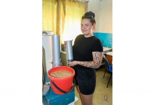 На филиал «Поставское хлебоприемное предприятие» непрерывным потоком течет зерно нового урожая