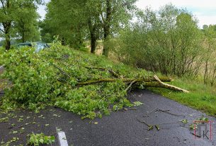 Сильный ветер и дождь не нанесли большого вреда в Поставском районе, но хлопот добавили