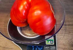 Три поколения семьи Галины Кишко посвятили свою жизнь железной дороге