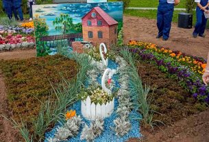 В две смены на картофельных полях ОАО «Новоселки-Лучай» работают учащиеся Поставского государственного колледжа