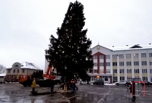 Видеофакт: В Поставы приехала главная новогодняя елка