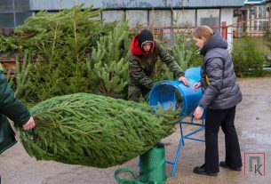 Фото- и видеорепортаж: В Поставах открылись ёлочные базары