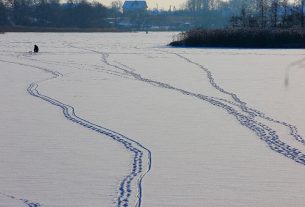 Добрый доктор Айболит — так многие называют ветврача Поставской райветстанции Дениса Савчука