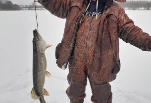 Щепа как вид топлива используется на котельных УП ЖКХ, а производят её в Поставском лесхозе