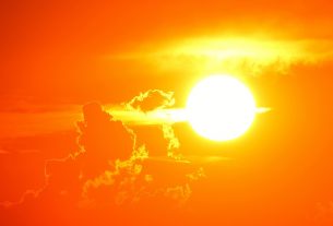 Ученые предупредили, что 2024 год может стать самым жарким в истории наблюдений