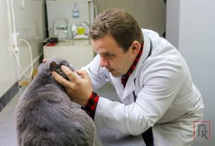 Добрый доктор Айболит — так многие называют ветврача Поставской райветстанции Дениса Савчука