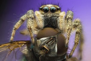 В первичной профсоюзной организации УП ЖКХ подвели итоги работы за 5 лет