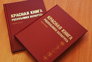 Виды животных и растений со стабильной численностью исключат из новой редакции Красной книги