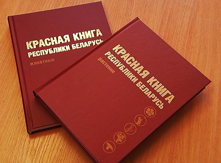 Виды животных и растений со стабильной численностью исключат из новой редакции Красной книги
