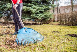 2024 год для Конституции нашей страны юбилейный: 15 марта ей исполняется 30 лет