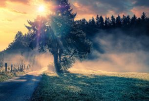 В Беларуси на смену аномальному теплу придут похолодание и дожди с мокрым снегом