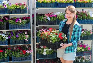 Цветочный магазин «Фейерверки и цветы» радует покупателей разнообразием ярких цветов