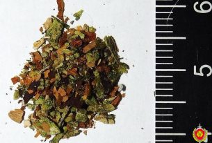 Двое мужчин пытались ввезти из Латвии в Беларусь запрещённые вещества