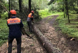 Фотофакт: Работники Лынтупского лесничества устраняют последствия непогоды