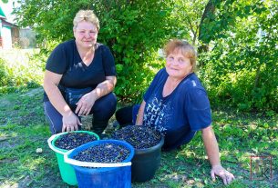 На полях ОАО «Камайский-агро» работают 9 комбайнов хозяйства и 1 New Holland молочного завода