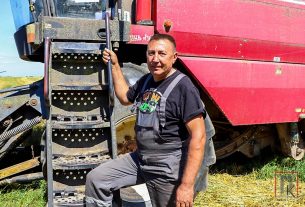 На полях Поставщины трудятся не только аграрии, но и горожане