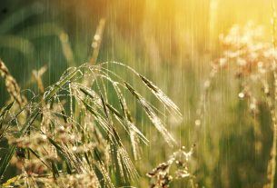 РОЧС напоминает о правилах безопасности в непогоду