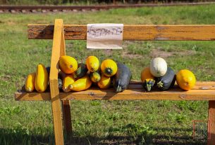 5 верасня каталіцкі Касцёл адзначыў ўспамін святых Бярнарда і Лаўрэнція, якія лічацца апекунамі пчол і пчаляроў