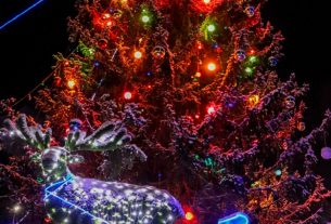 Какая погода будет в Беларуси в новогоднюю ночь, рассказали в Белгидромете