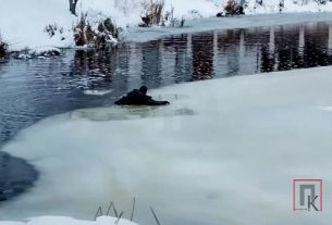 Поставский районный туринфоцентр подвел итоги фотоконкурса «Фауна в фокусе»