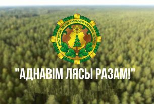 Акция "Дай лесу новае жыццё!" стартует в Беларуси 21 марта