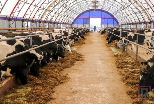 Работники филиала «Поставское ДРСУ-132» делают многое по грейдированию, ремонту и асфальтированию дорог и улиц.